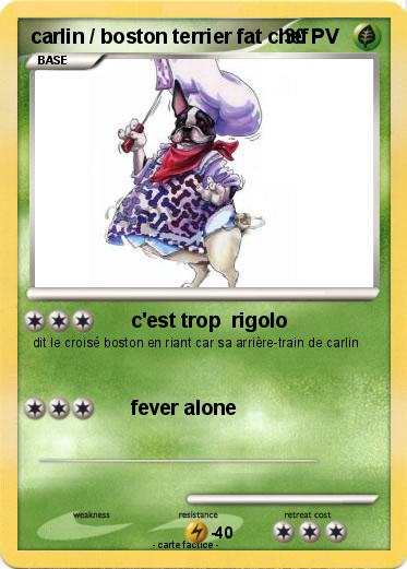 Pokemon carlin / boston terrier fat chef