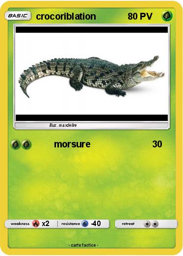 Pokemon crocoriblation