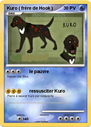 Pokemon Kuro ( frère de Hook )