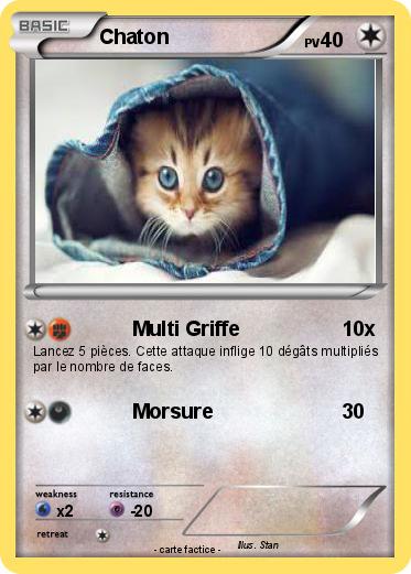Pokemon Chaton