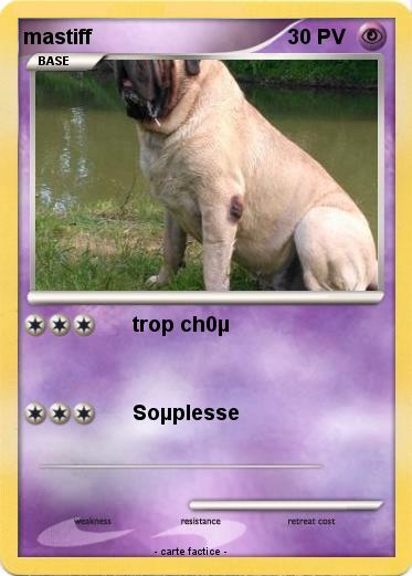 Pokemon mastiff