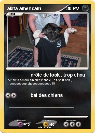 Pokemon akita americain