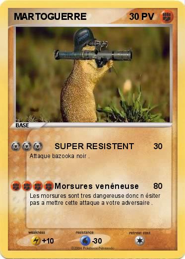 Pokemon MARTOGUERRE