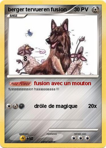 Pokemon berger tervueren fusion