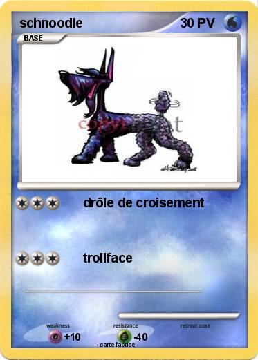 Pokemon schnoodle