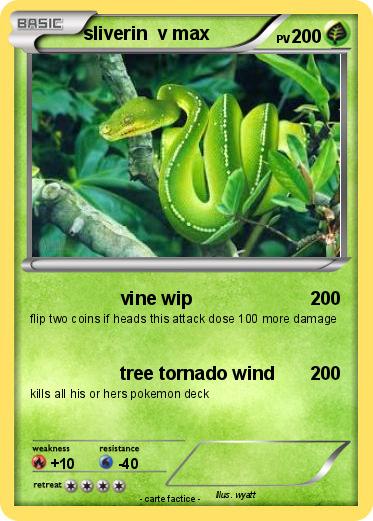 Pokemon sliverin  v max