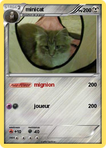 Pokemon minicat
