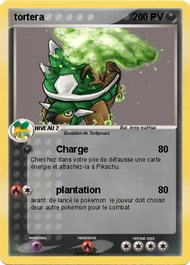 Pokemon tortera