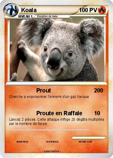 Pokemon Koala