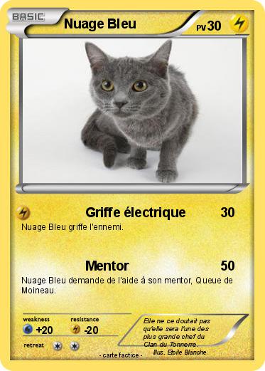 Pokemon Nuage Bleu