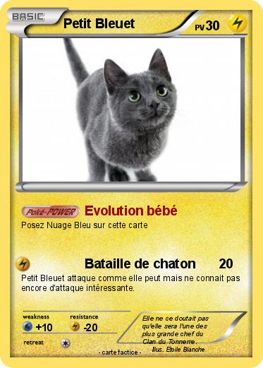 Pokemon Petit Bleuet