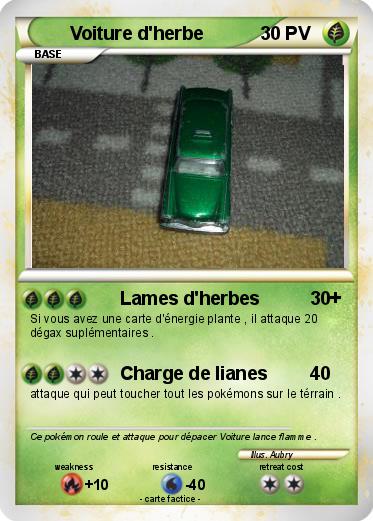 Pokemon Voiture d'herbe
