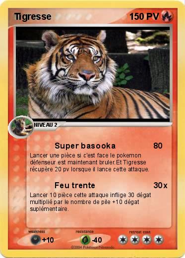 Pokemon Tigresse
