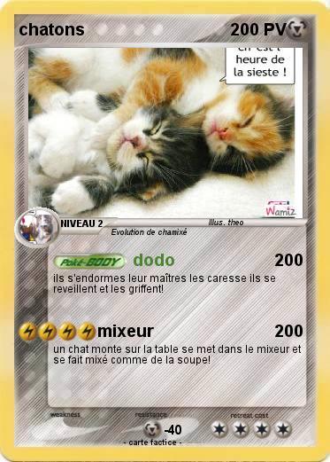 Pokemon chatons