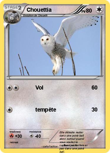 Pokemon Chouettia