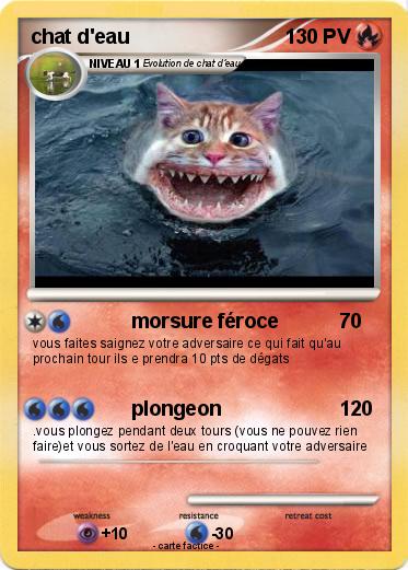 Pokemon chat d'eau