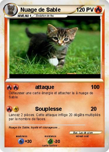 Pokemon Nuage de Sable