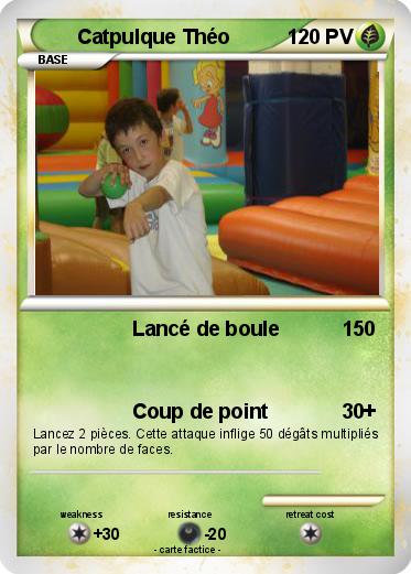 Pokemon Catpulque Théo