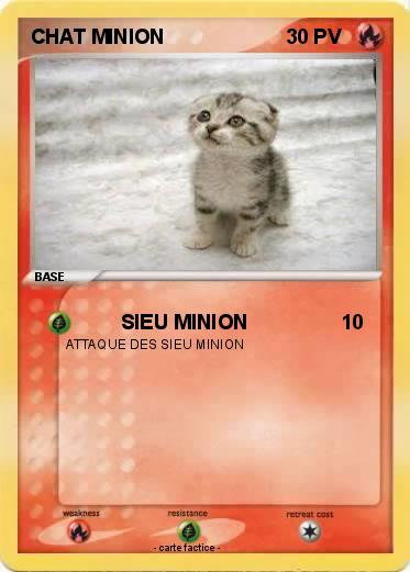Pokemon CHAT MINION