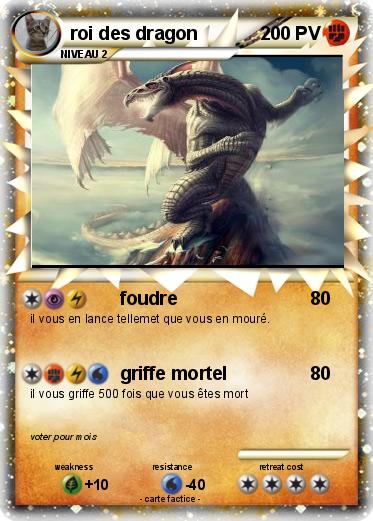 Pokemon roi des dragon