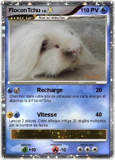 Pokemon FloconTchu