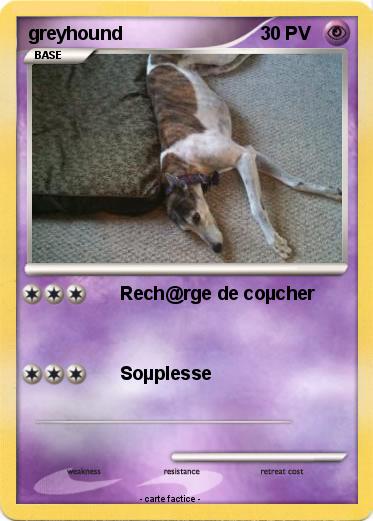Pokemon greyhound