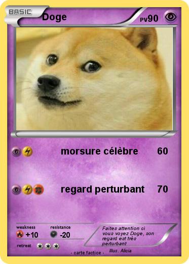 Pokemon Doge