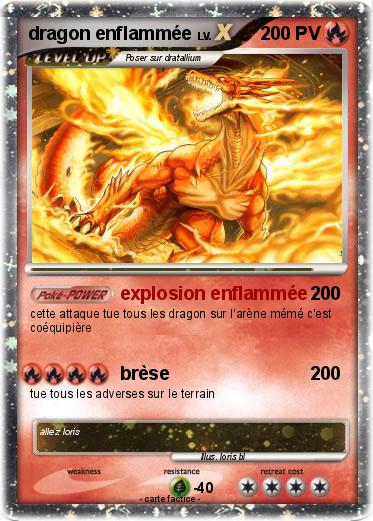 Pokemon dragon enflammée