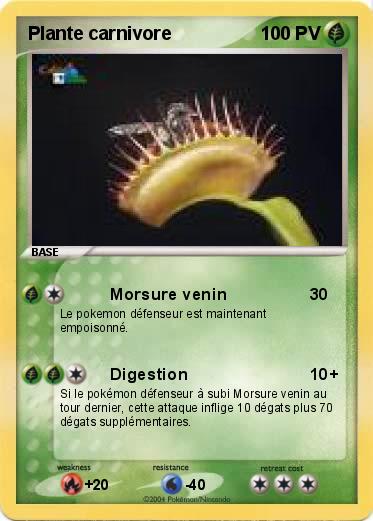 Pokemon Plante carnivore