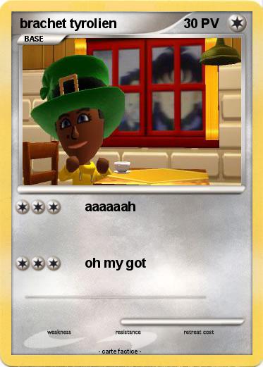 Pokemon brachet tyrolien