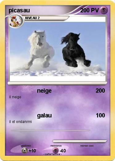 Pokemon picasau