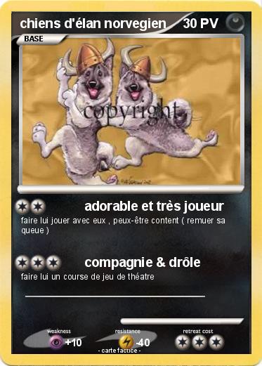 Pokemon chiens d'élan norvegien