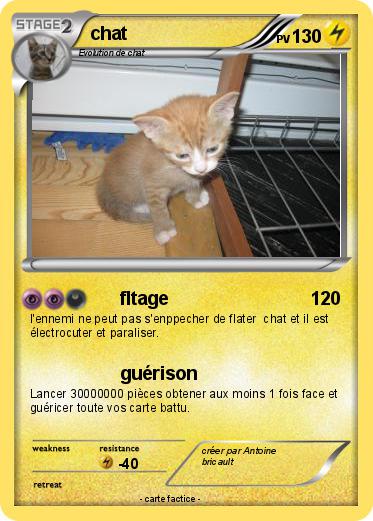 Pokemon chat
