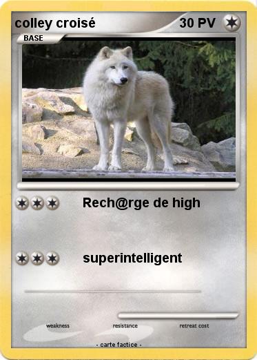 Pokemon colley croisé