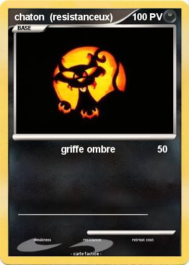 Pokemon chaton  (resistanceux)