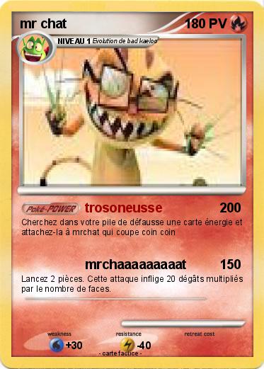 Pokemon mr chat