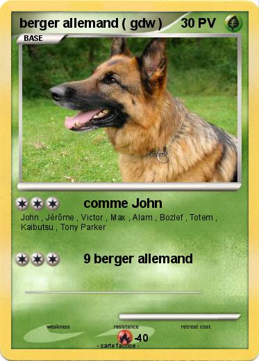 Pokemon berger allemand ( gdw )
