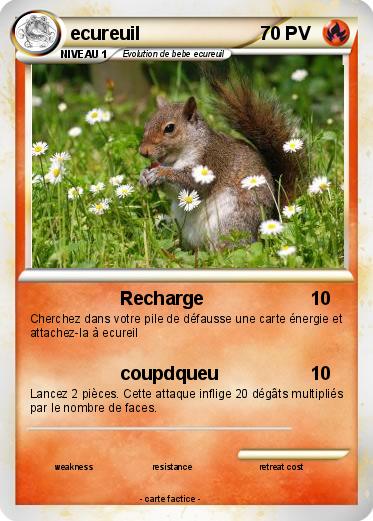 Pokemon ecureuil