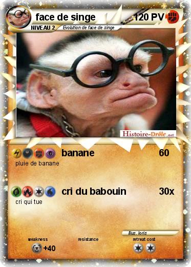 Pokemon face de singe