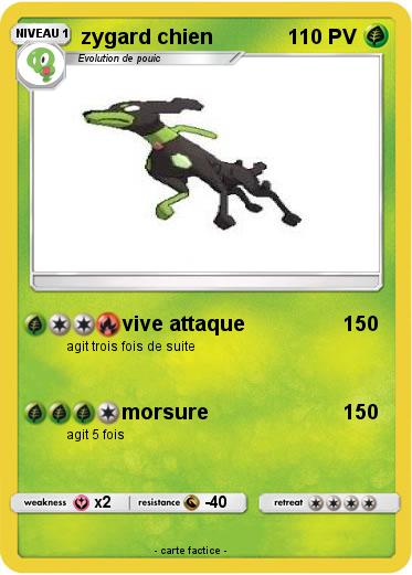 Pokemon zygard chien