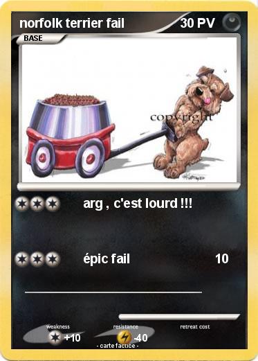 Pokemon norfolk terrier fail