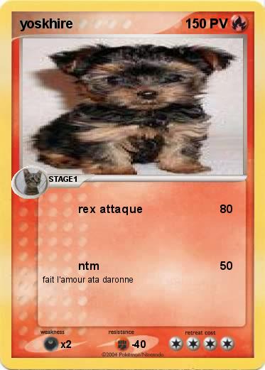 Pokemon yoskhire