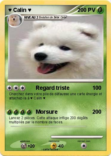 Pokemon ♥ Calin ♥