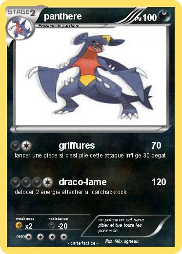 Pokemon panthere