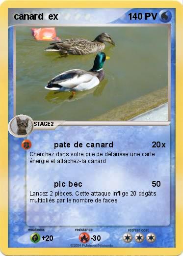 Pokemon canard  ex