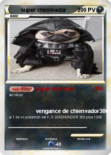Pokemon super chienvador