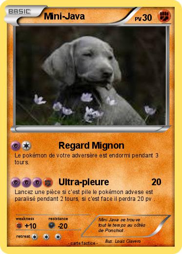 Pokemon Mini-Java