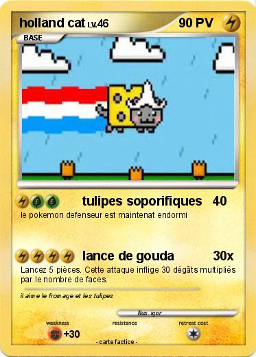 Pokemon holland cat