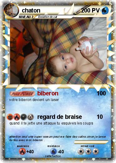 Pokemon chaton