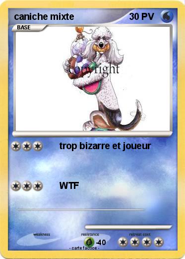 Pokemon caniche mixte